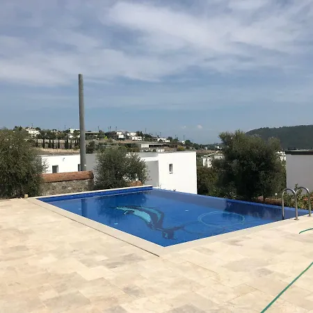 Willa Villa Goelkoey